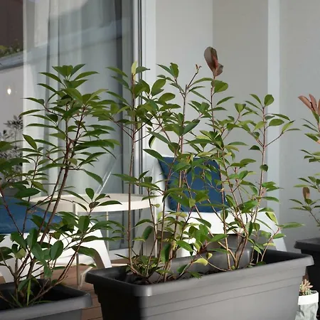 Апартаменты Profondo *